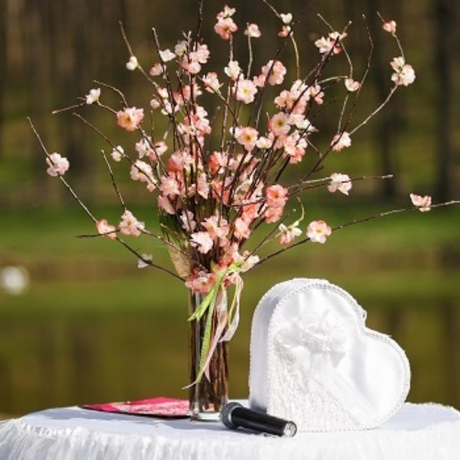 Auckland Celebrants share tips on wedding sound and video